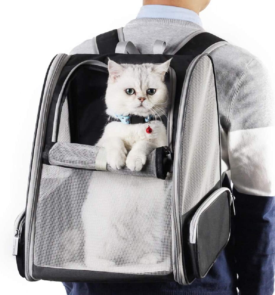 Revolutionary Bubble Backpack Pet Carrier for Cats and Dogs - Stylish Grey Design