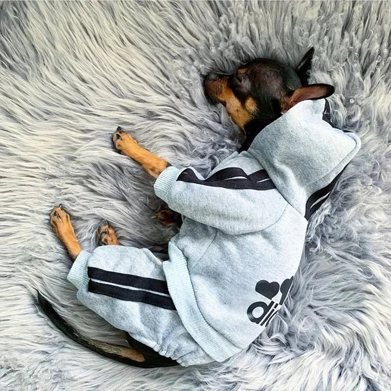 Stylish and Cozy Pet Jumpsuit for French Bulldogs, Chihuahuas, and Pugs - Perfect Autumn/Winter Outfit for Small to Medium Dogs