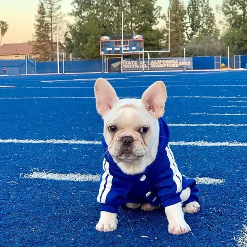 Stylish and Cozy Pet Jumpsuit for French Bulldogs, Chihuahuas, and Pugs - Perfect Autumn/Winter Outfit for Small to Medium Dogs