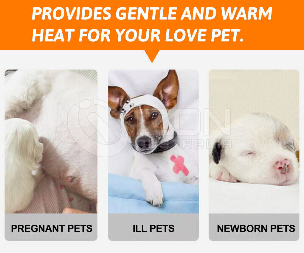 Ultimate Large Waterproof Electric Heat Mat for Pets - Cozy Warmer Pad with AU Plug
